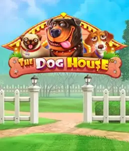 Pragmatic Play's The Dog House Slot, bringing you a fun-filled experience into the world of charming canines. Discover gameplay elements such as multipliers, designed for delivering entertaining gameplay. Perfect for pet lovers a cheerful theme with a chance for big wins.